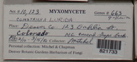 Image Associated With the Occurence